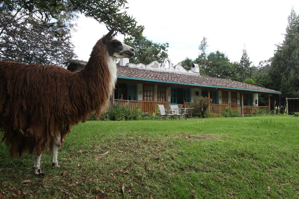 Las Palmeras Inn โอตาวาโล ภายนอก รูปภาพ