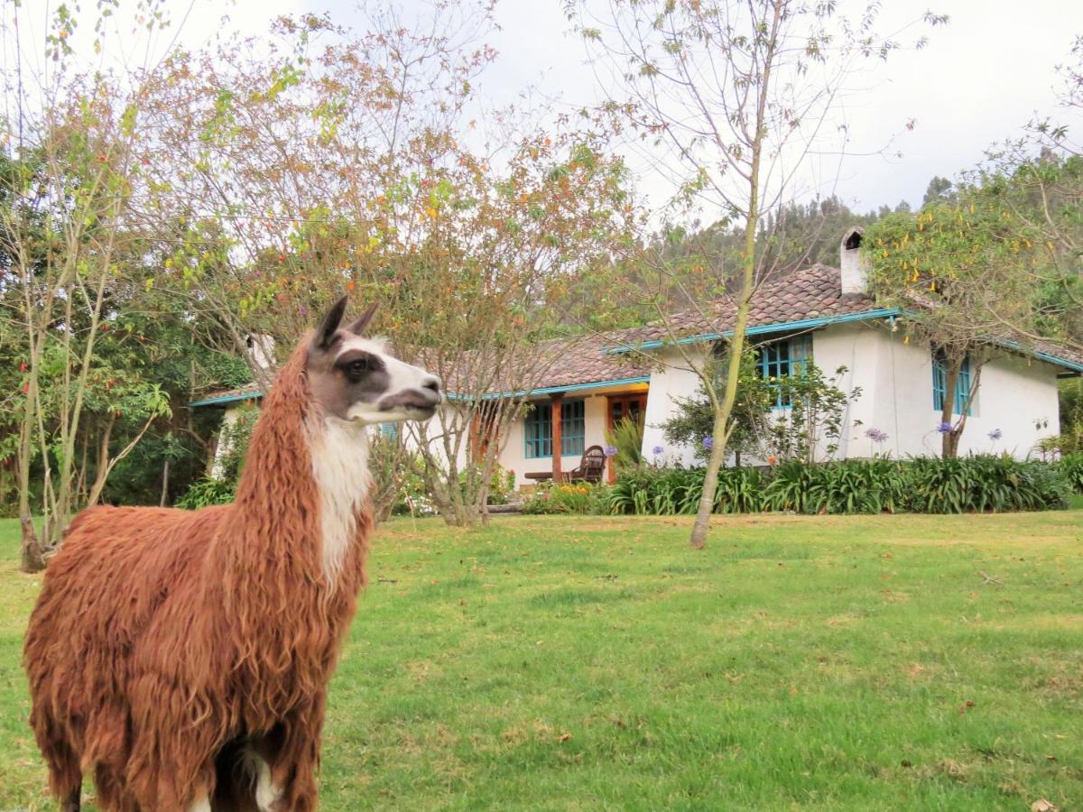 Las Palmeras Inn โอตาวาโล ภายนอก รูปภาพ
